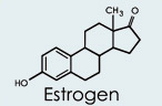Estrogen Molecule